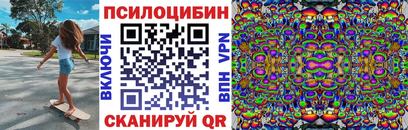 сколько стоит  Вилючинск  Галлюциногенные грибы MAGIC MUSHROOMS 